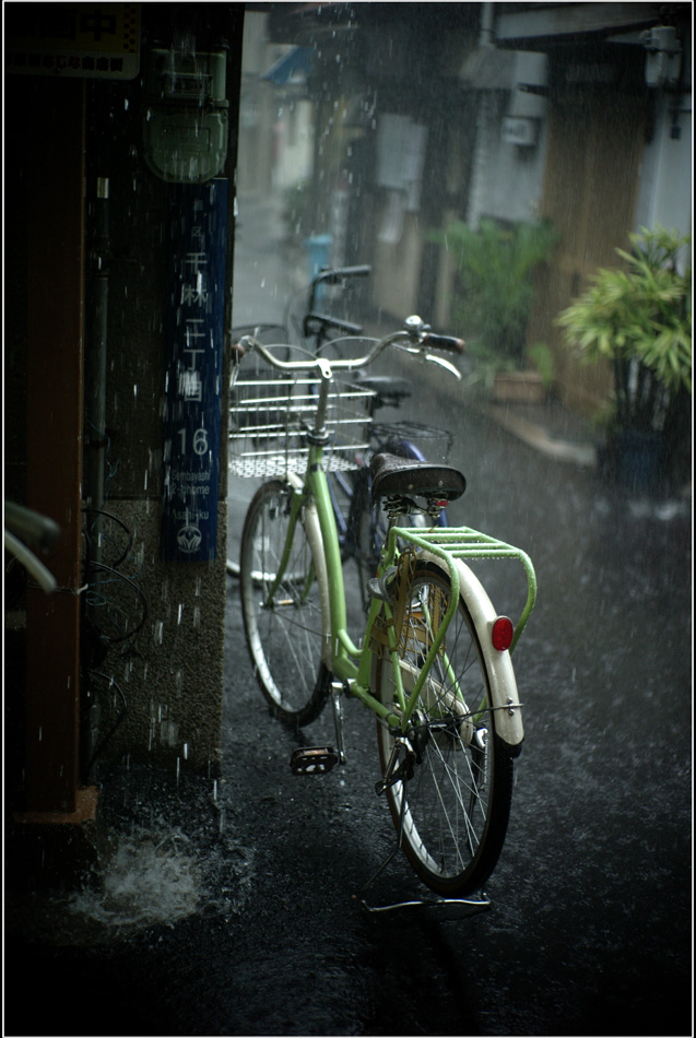 783 土砂降り（キネタール50mmF1.8は雨よりシャンパンがいい､なんてうそぶいて）_b0226423_2240512.jpg