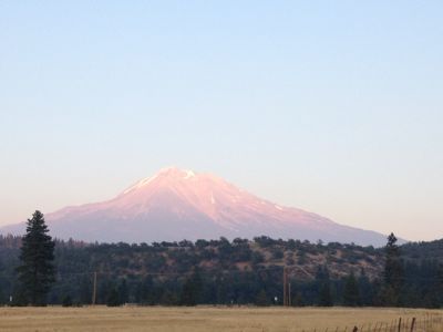 シャスタ山へ行ってきました♡_f0095325_77828.jpg