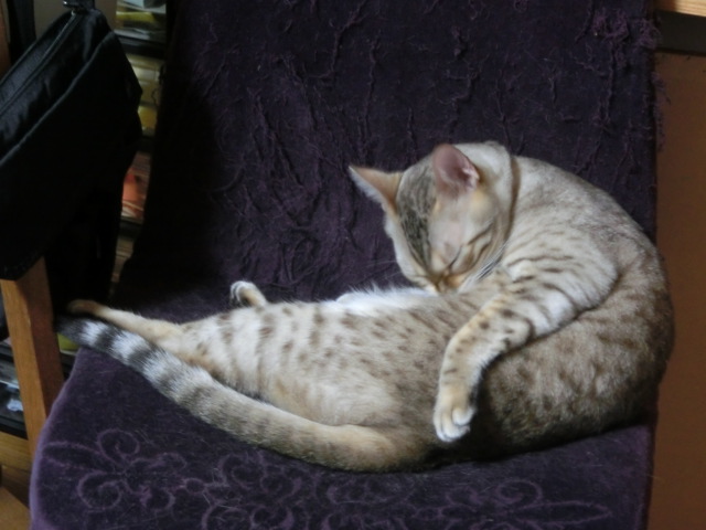 f0009028_98881.jpg