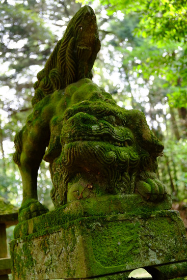 「島根・神西 那売佐神社と岩坪」_a0000029_21285379.jpg