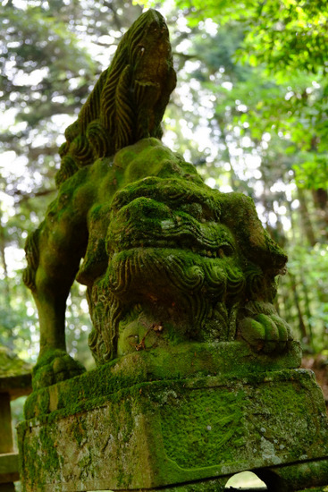 「島根・神西　那売佐神社と岩坪」_a0000029_21285379.jpg