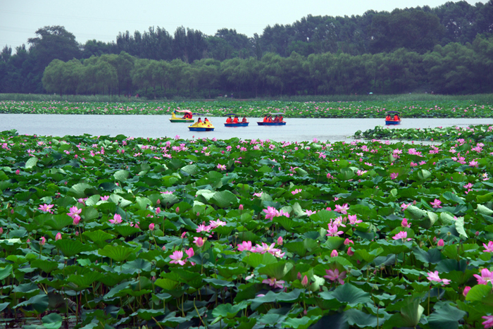 ⑨　瀋陽上海旅行　瀋陽町歩き _c0132230_9234622.jpg