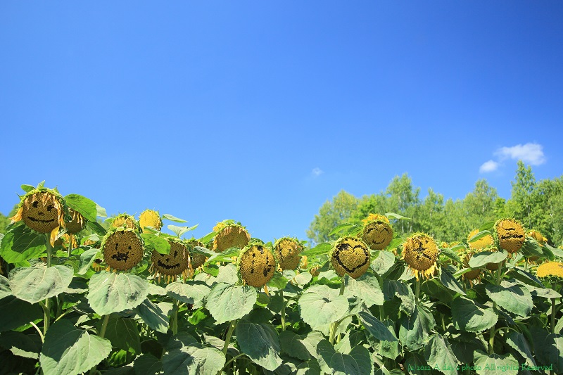 c0244037_06469.jpg