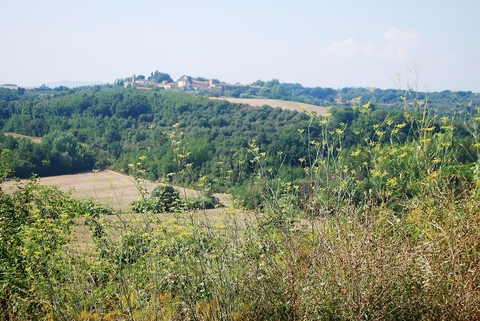 f0126141_52646.jpg