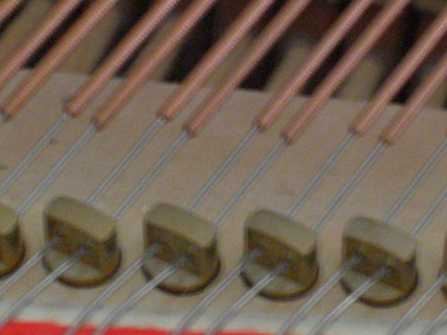 a0249443_9285053.jpg