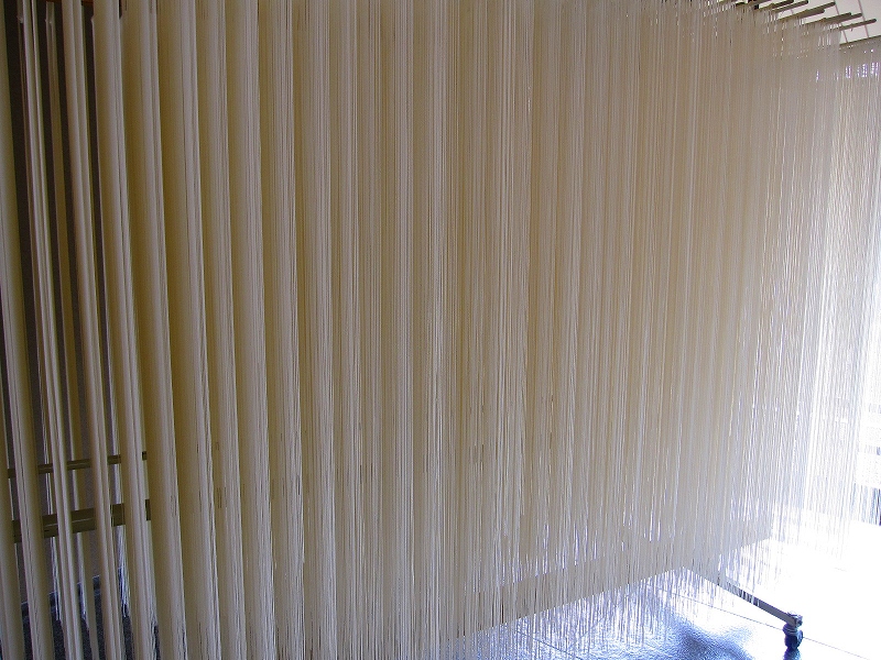 奈良の『三輪素麺』（山本館）_e0237645_1347117.jpg
