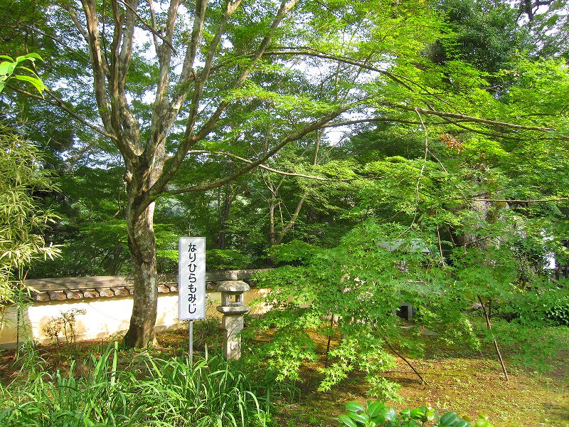 業平（なりひら）寺とも呼ばれる、京都大原野の『十輪寺』_e0237645_1353541.jpg