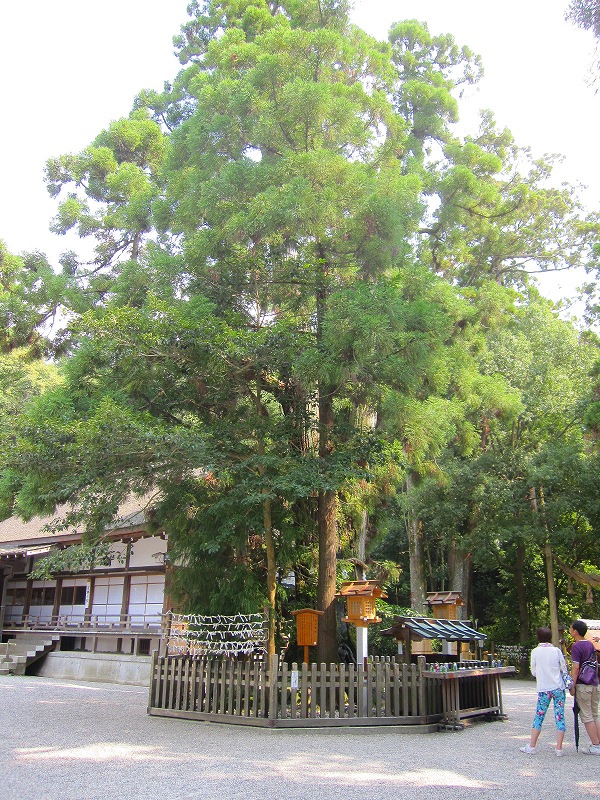 日本で一番古い神社の一つ『大神(おおみわ)神社』(奈良)20160822_e0237645_14164682.jpg