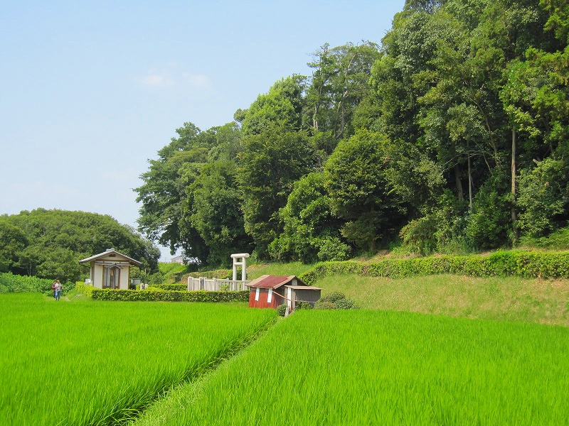 古代都市「纏向」に寄り添う『箸墓古墳』は卑弥呼のお墓？_e0237645_14354827.jpg