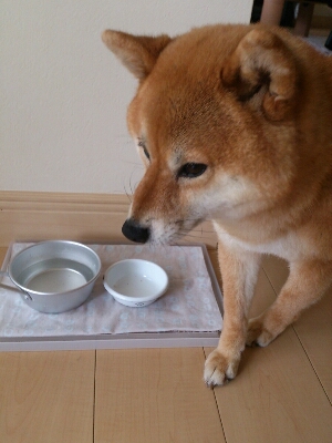 e0171951_1417444.jpg