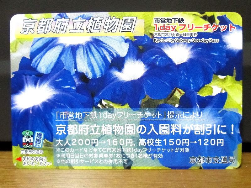 c0272958_1537859.jpg
