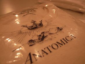 \"ANATOMICA ORGNIC TEE 2PC\"ってこなこと。_c0140560_11321417.jpg