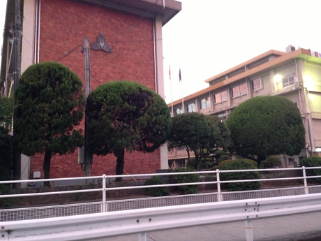 d0230563_1218144.jpg