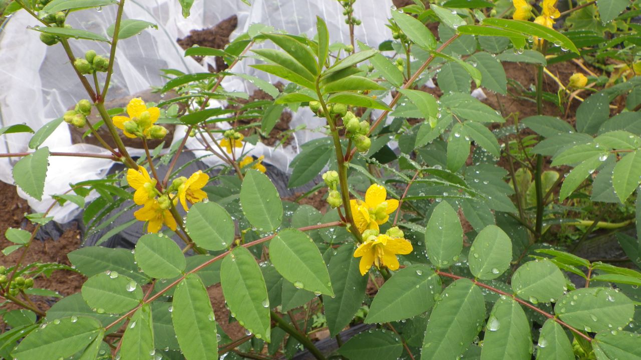 f0124378_22321572.jpg