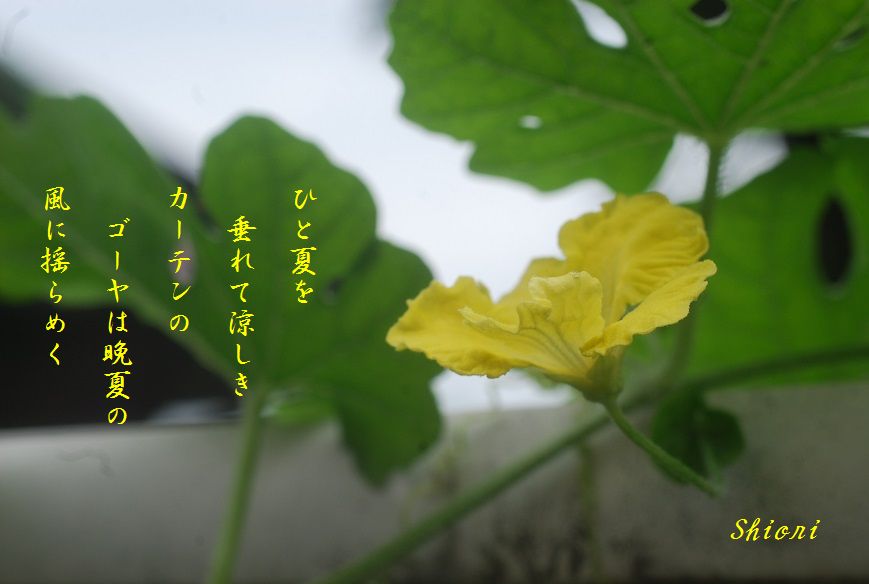 c0187781_02114.jpg