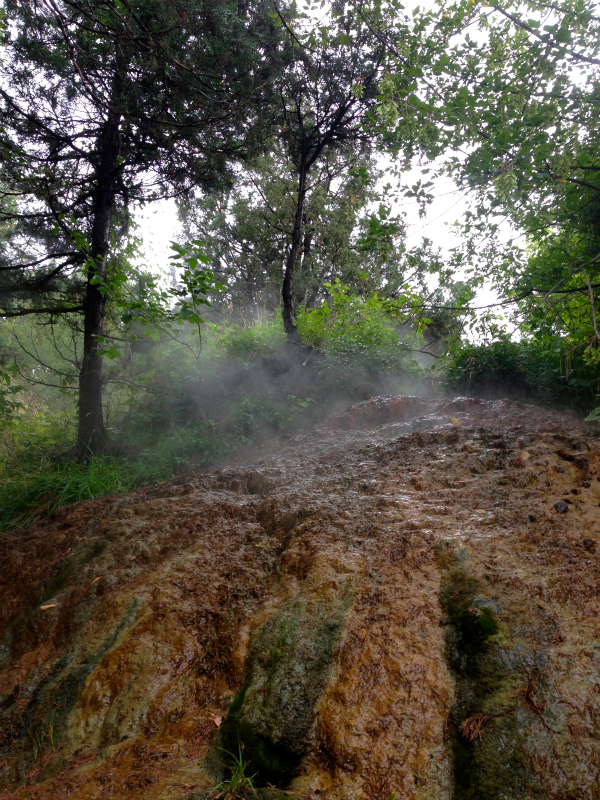 2013/08/08-09 Summer USA Trip -Silvverton~Ouray-_b0220886_10442099.jpg