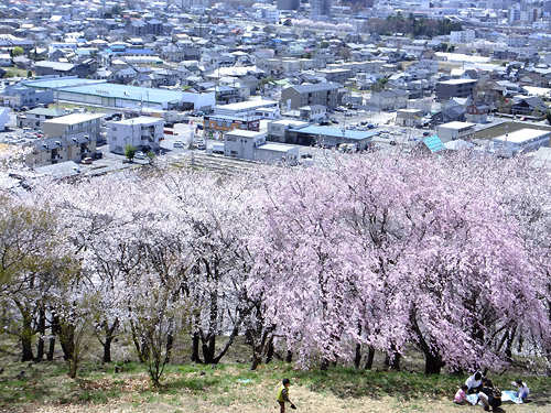 弘法山お花見（その３）_c0001491_9452041.jpg