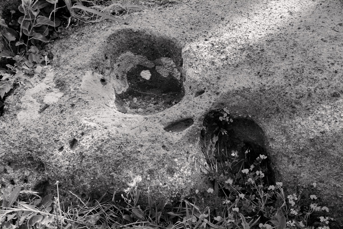 f0018492_10223048.jpg