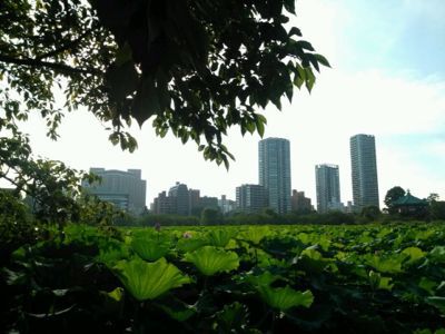 d0150596_23385442.jpg