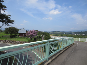 2013.08.18.残暑の利根川自転車道ポタ_a0117599_11274127.jpg