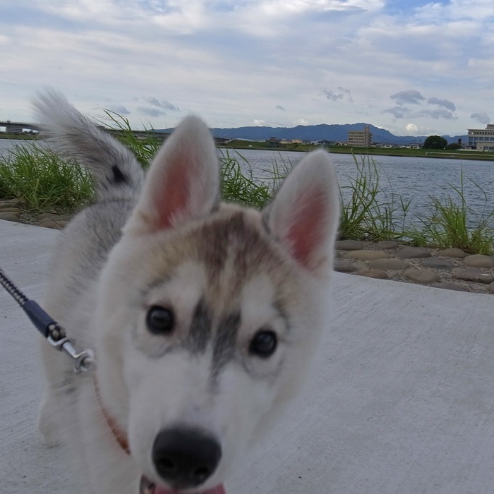 c0049299_1593360.jpg