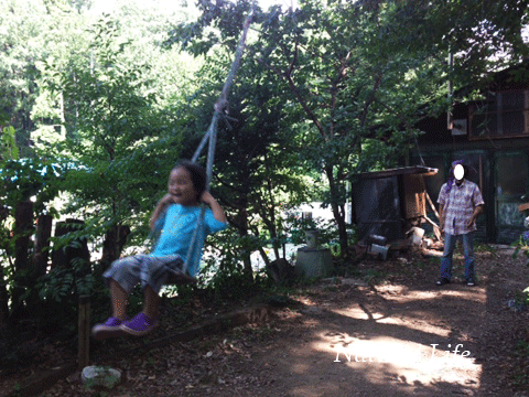 b0162000_177419.gif
