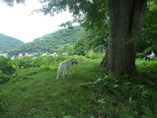 里山散歩♪_f0082103_816112.jpg