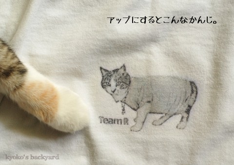 愛猫印の、アイロンプリントTシャツ_b0253205_23483386.jpg