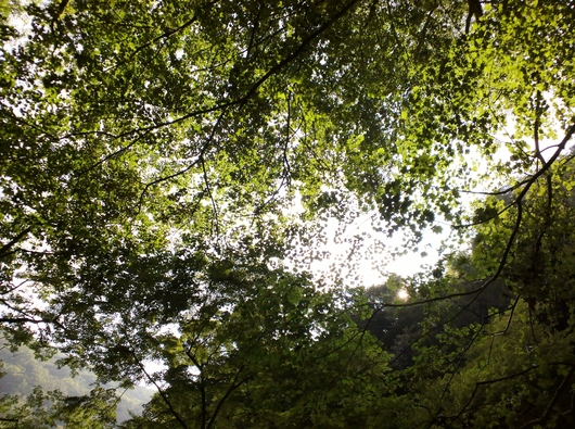 d0238608_05448.jpg