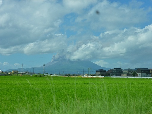 f0008510_17173362.jpg