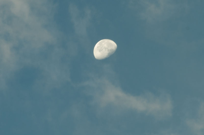 a0278914_1434617.jpg