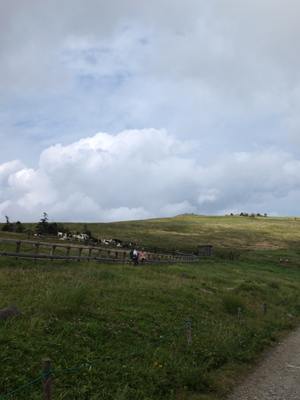 a0258516_8573246.jpg