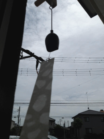 ブログ再開いたします_a0251920_5305564.gif
