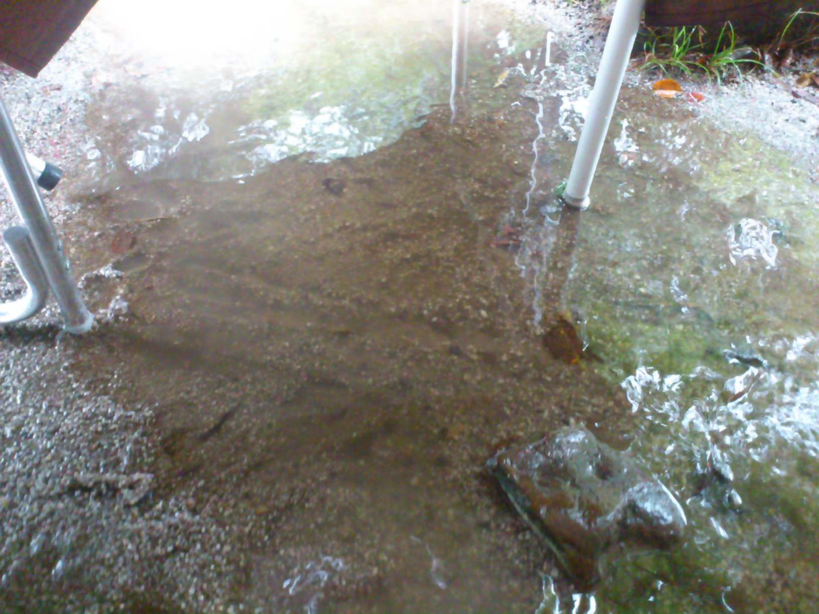 e0128024_9504165.jpg