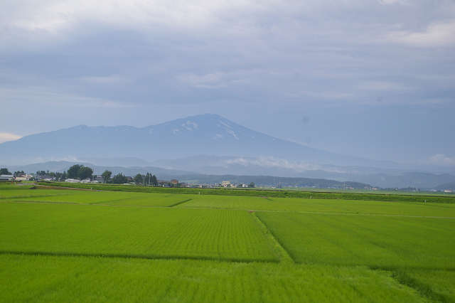 b0283432_22171611.jpg