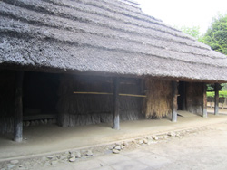 f0038336_791888.jpg