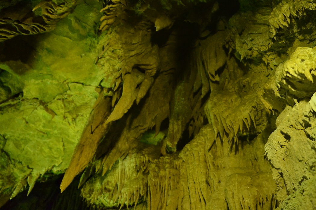 a0055650_0428.jpg