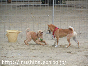 a0286855_12201344.gif