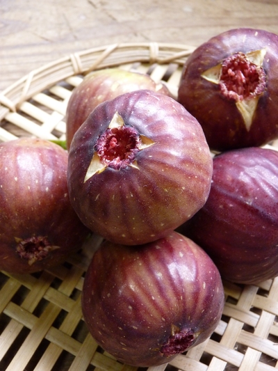 熊本の最旬「美味かもん」をご紹介 vol.8_a0254656_173303.jpg