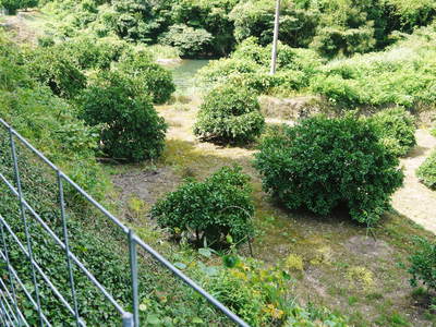 熊本の最旬「美味かもん」をご紹介 vol.8_a0254656_19115095.jpg