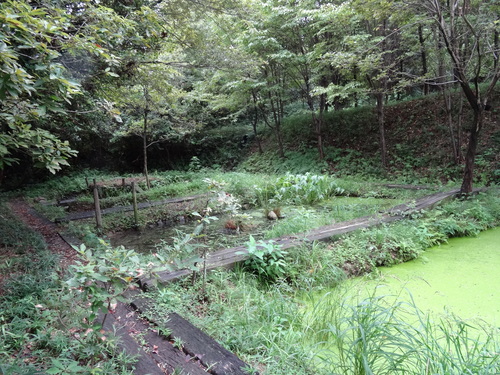 c0108460_17573434.jpg
