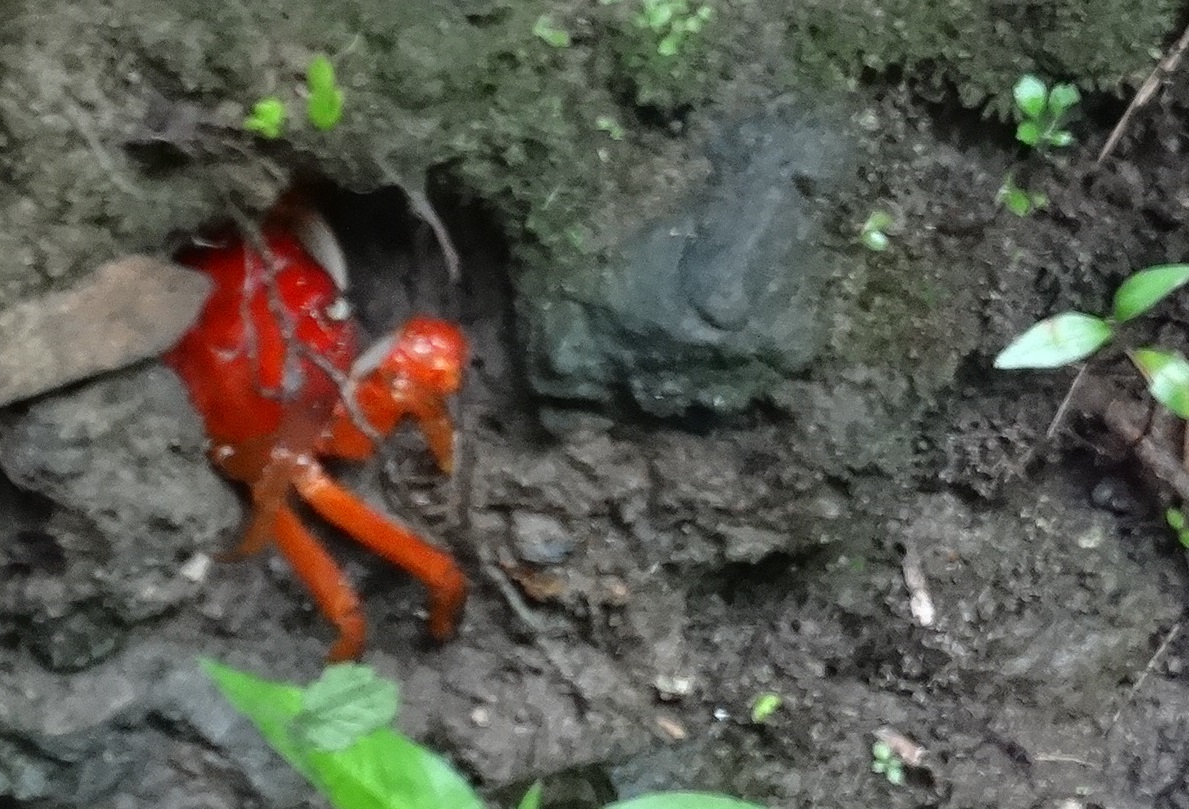 c0108460_17582849.jpg