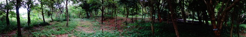 c0108460_17585093.jpg