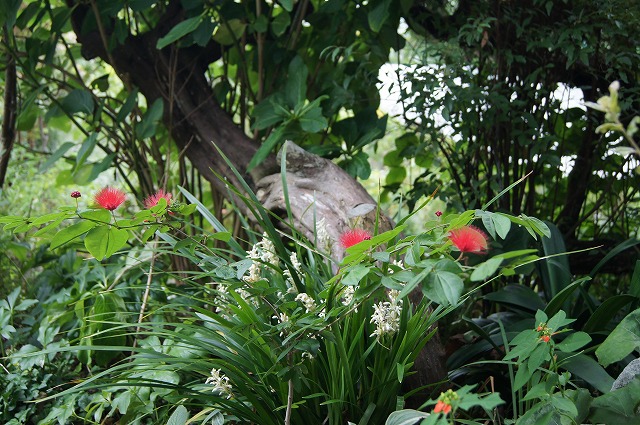 e0181373_2051958.jpg