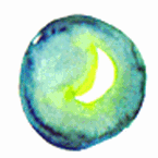 c0221884_21565011.gif