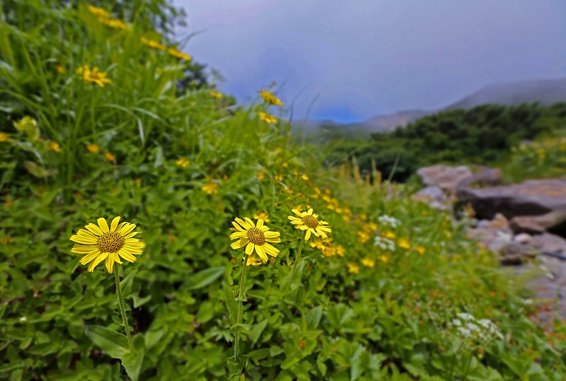 f0000789_8493941.jpg
