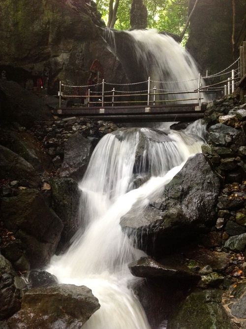 f0071303_1111364.jpg