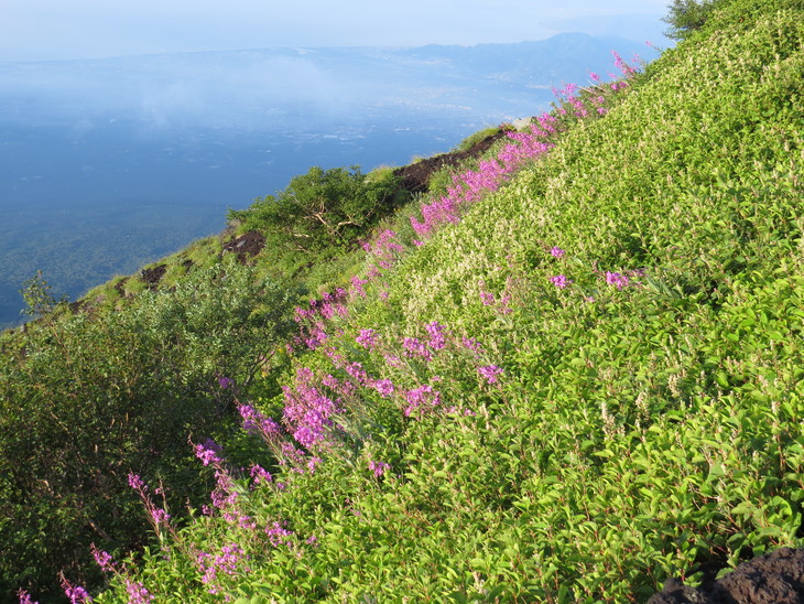 b0087914_942237.jpg