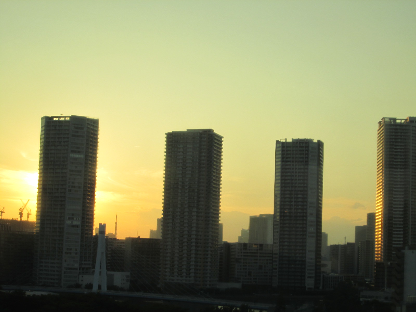 d0197317_21584420.jpg