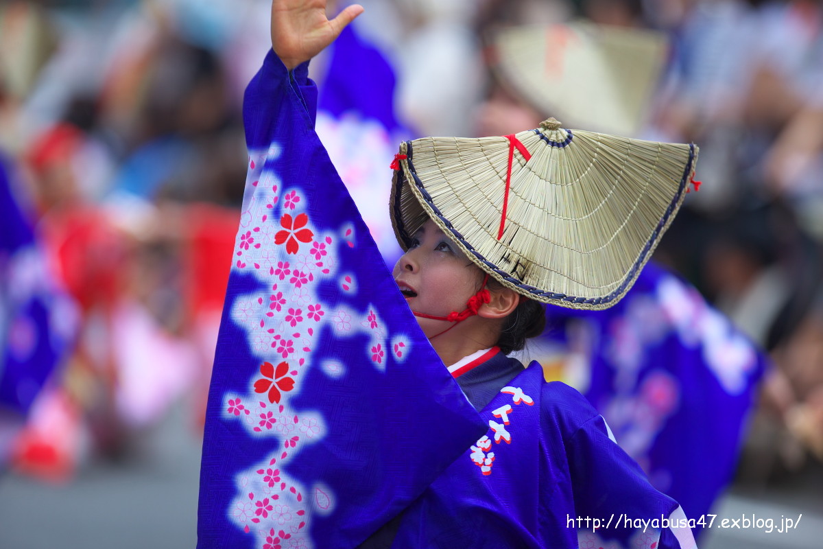 第60回高知よさこい祭り　全国大会 vol.3_a0095531_1915633.jpg